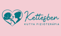 logo basic